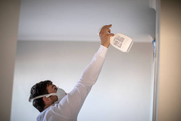 Best Black Mold Removal  in Agua Fria, NM